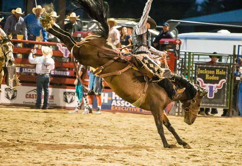 Jackson Hole Rodeo activity package