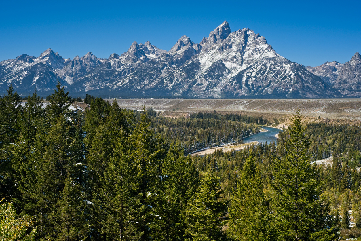 A view of the Snake River as it bends through evergreen woods below the snow-dusted range of the Grand Tetons